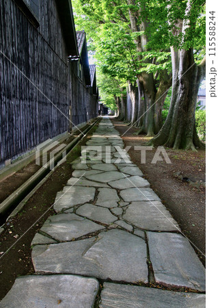 ケヤキと山居倉庫(山形県・酒田市) ケヤキと山居倉庫(山形県・酒田市) 115588244