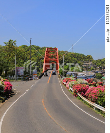 つつじ つつじ 115588291