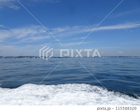 6月の海上 115588320