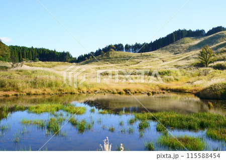 池塘に映る山 115588454