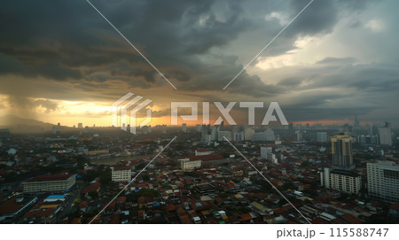 スコール スコール 115588747