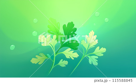 CG背景イラスト　パセリのイメージイラスト 115588845