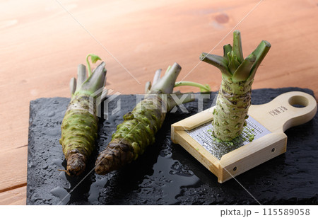 生山葵をおろし器ですりおろす　静岡県産 本わさび 115589058