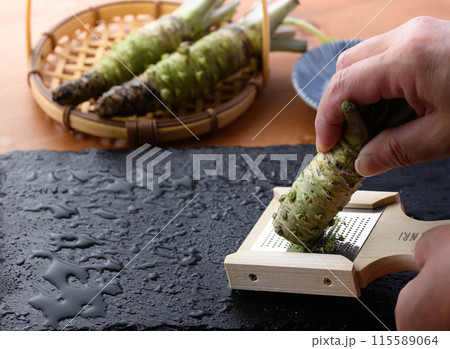 生山葵をおろし器ですりおろす　静岡県産 本わさび 115589064