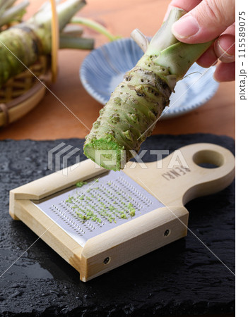 生山葵をおろし器ですりおろす　静岡県産 本わさび 115589075