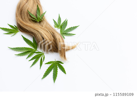 Long hair with green fresh leaves of cannabis. Herbal medicine. Long hair with green fresh leaves of cannabis. Herbal medicine. 115589109