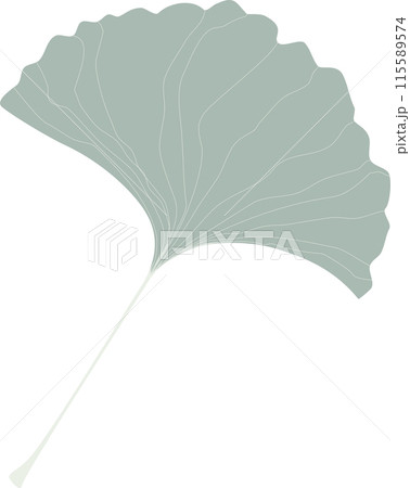 Ginkgo biloba leaf, healthcare herb alternative medicine concept, flat png transparent element design isolated Ginkgo biloba leaf, healthcare herb alternative medicine concept, flat png transparent element design isolated 115589574