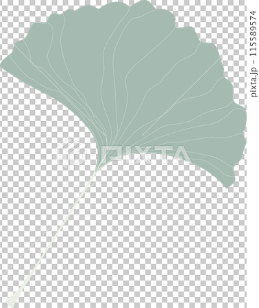 Ginkgo biloba leaf, healthcare herb alternative medicine concept, flat png transparent element design isolated Ginkgo biloba leaf, healthcare herb alternative medicine concept, flat png transparent element design isolated 115589574
