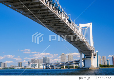 東京都 芝浦南ふ頭公園からの東京湾、レインボーブリッジ 115589672