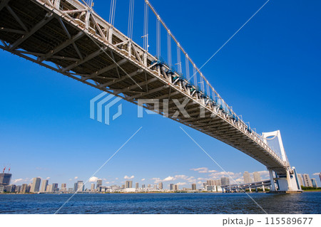 東京都 芝浦南ふ頭公園からの東京湾、レインボーブリッジ 115589677