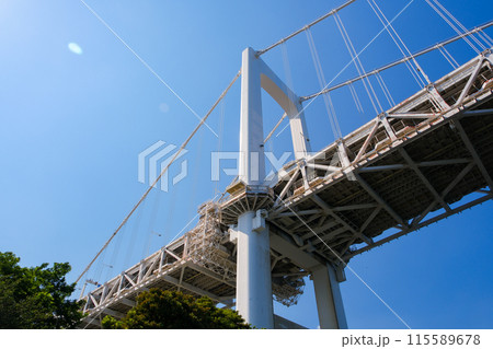 東京都 芝浦南ふ頭公園から見えるレインボーブリッジ 115589678