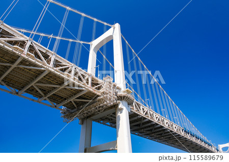 東京都 芝浦南ふ頭公園から見えるレインボーブリッジ 115589679