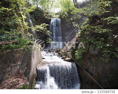 定山渓にある「白糸の滝」 定山渓にある「白糸の滝」 115589738