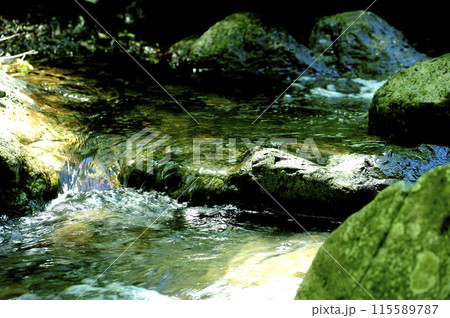 小川の水の流れ 小川の水の流れ 115589787