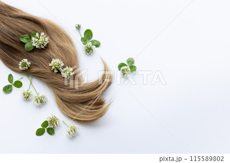 Female long hair with white clover flowers. on a white background with copy space. Female long hair with white clover flowers. on a white background with copy space. 115589802