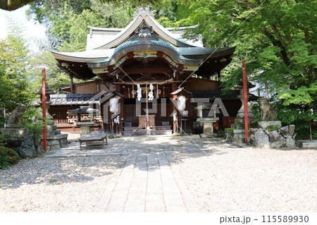 京都市東山区にある粟田神社境内の本殿風景 京都市東山区にある粟田神社境内の本殿風景 115589930