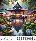 梅雨の時期にお寺のあじさいが咲いている 115589941