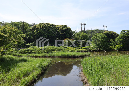 横浜 こども自然公園 (大池公園) 横浜 こども自然公園 (大池公園) 115590032