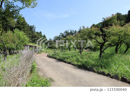 横浜 こども自然公園 (大池公園) 横浜 こども自然公園 (大池公園) 115590040