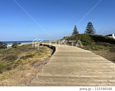 ニュージーランド北島・マウントマウンガヌイ 115590580