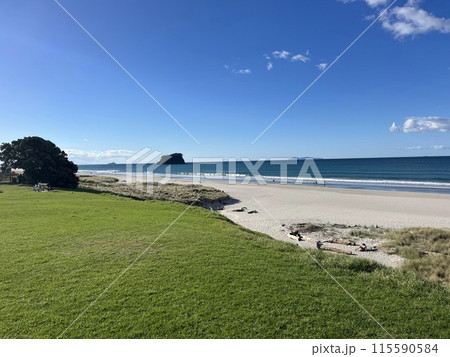 ニュージーランド北島・マウントマウンガヌイ 115590584