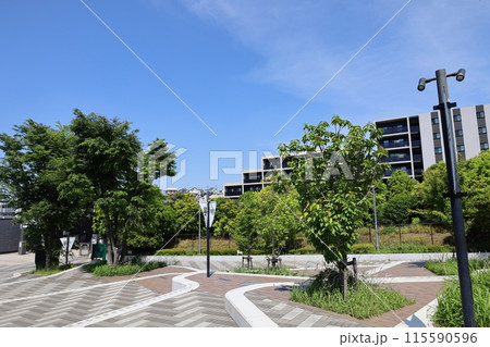 【横浜】相鉄線 南万騎が原駅 西口 115590596