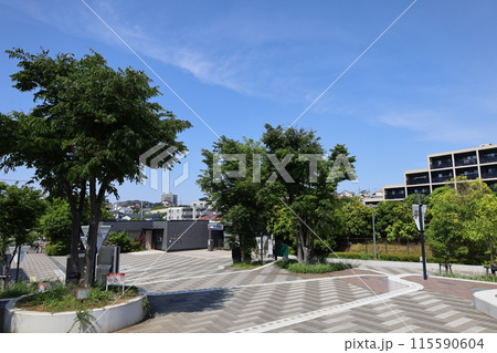 【横浜】相鉄線 南万騎が原駅 西口 115590604