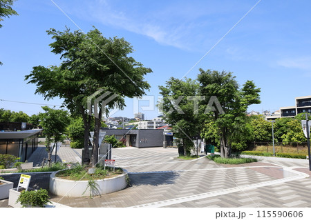 【横浜】相鉄線 南万騎が原駅 西口 115590606