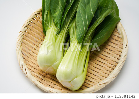 チンゲン菜 115591142
