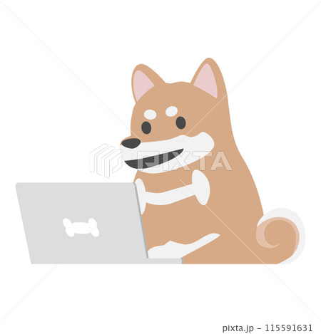 パソコンを使用する柴犬2 115591631