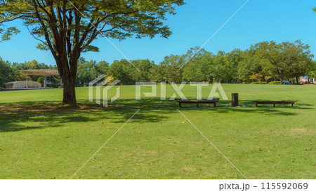 快晴の日の爽やかな公園 快晴の日の爽やかな公園 115592069
