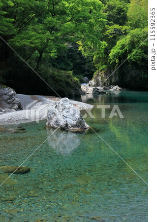 初夏の汗見川 清らかな水の流れ (高知県 本山町) 初夏の汗見川 清らかな水の流れ (高知県 本山町) 115592365
