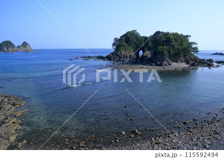 樫西海岸の景観　初夏　（高知県　大月町） 115592494