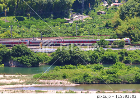 新緑の高梁川と伯備線特急やくも号（381系電車：岡山⇔出雲市） 115592502