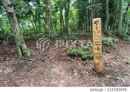 棒ノ折山から黒山、岩茸石山、惣岳山を経由した山道の景色 棒ノ折山から黒山、岩茸石山、惣岳山を経由した山道の景色 115592649