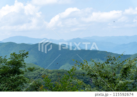 棒ノ折山から黒山、岩茸石山、惣岳山を経由した山道の景色 115592674
