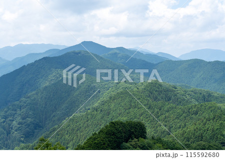 棒ノ折山から黒山、岩茸石山、惣岳山を経由した山道の景色 棒ノ折山から黒山、岩茸石山、惣岳山を経由した山道の景色 115592680