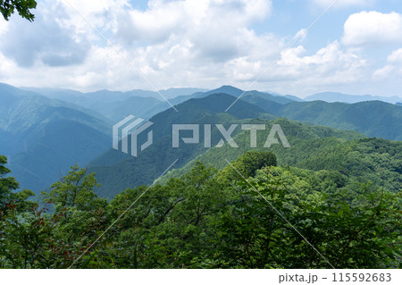 棒ノ折山から黒山、岩茸石山、惣岳山を経由した山道の景色 棒ノ折山から黒山、岩茸石山、惣岳山を経由した山道の景色 115592683