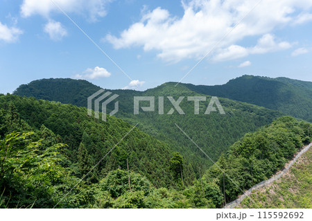 棒ノ折山から黒山、岩茸石山、惣岳山を経由した山道の景色 棒ノ折山から黒山、岩茸石山、惣岳山を経由した山道の景色 115592692