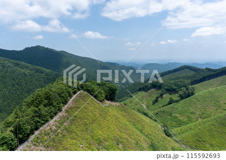 棒ノ折山から黒山、岩茸石山、惣岳山を経由した山道の景色 115592693