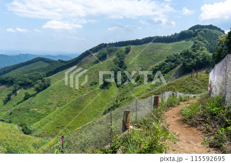 棒ノ折山から黒山、岩茸石山、惣岳山を経由した山道の景色 115592695