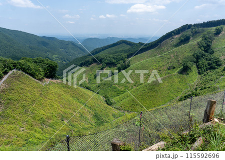 棒ノ折山から黒山、岩茸石山、惣岳山を経由した山道の景色 棒ノ折山から黒山、岩茸石山、惣岳山を経由した山道の景色 115592696