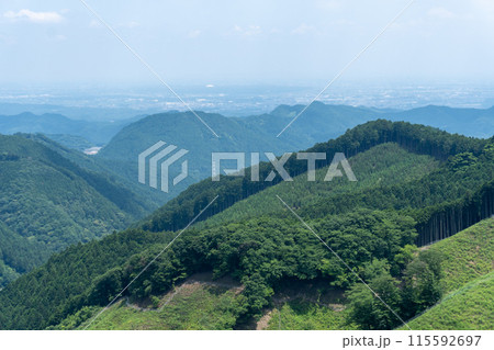 棒ノ折山から黒山、岩茸石山、惣岳山を経由した山道の景色 115592697