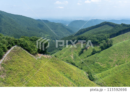 棒ノ折山から黒山、岩茸石山、惣岳山を経由した山道の景色 115592698