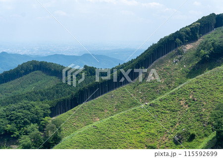 棒ノ折山から黒山、岩茸石山、惣岳山を経由した山道の景色 棒ノ折山から黒山、岩茸石山、惣岳山を経由した山道の景色 115592699
