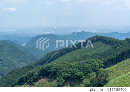 棒ノ折山から黒山、岩茸石山、惣岳山を経由した山道の景色 棒ノ折山から黒山、岩茸石山、惣岳山を経由した山道の景色 115592702