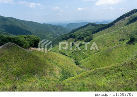 棒ノ折山から黒山、岩茸石山、惣岳山を経由した山道の景色 115592703