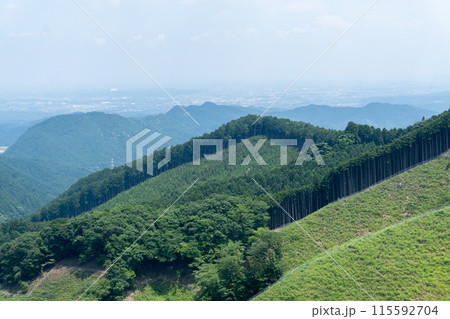 棒ノ折山から黒山、岩茸石山、惣岳山を経由した山道の景色 115592704