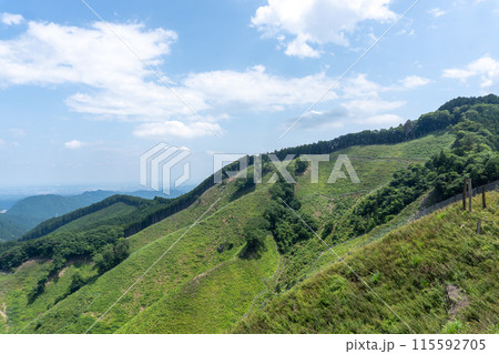 棒ノ折山から黒山、岩茸石山、惣岳山を経由した山道の景色 115592705