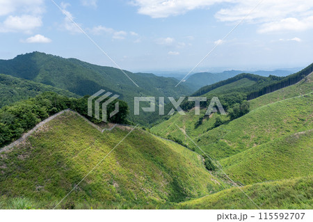 棒ノ折山から黒山、岩茸石山、惣岳山を経由した山道の景色 115592707